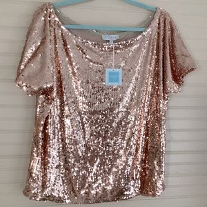 Hayden Rose Gold Sequin fully Lined Party Top Blouse Size L New